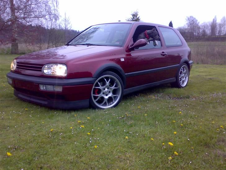 VW Golf Mk III GTI 16V  billede 5