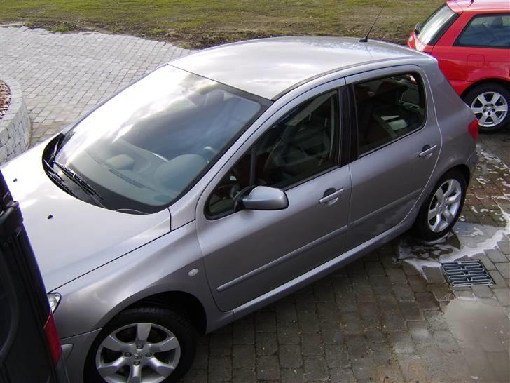Peugeot 307 Griffe billede 3