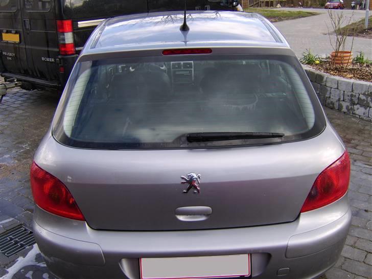 Peugeot 307 Griffe billede 4
