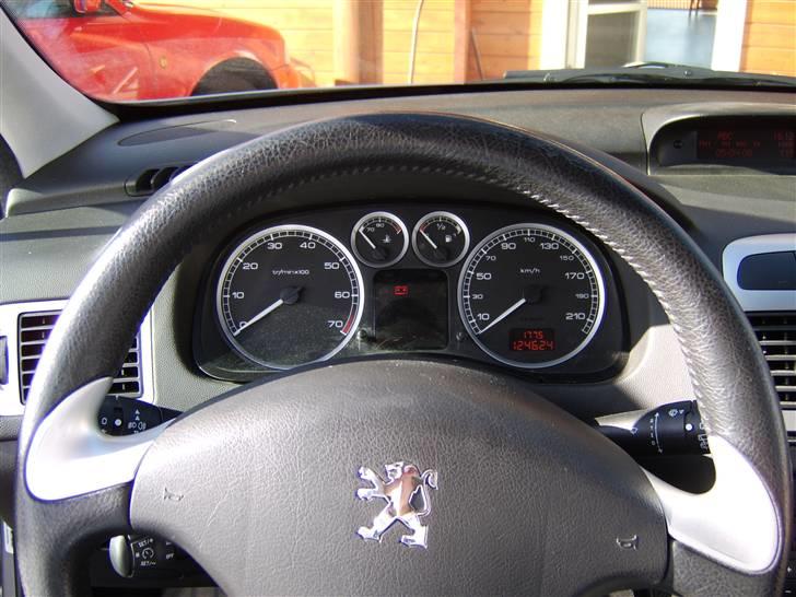 Peugeot 307 Griffe billede 8