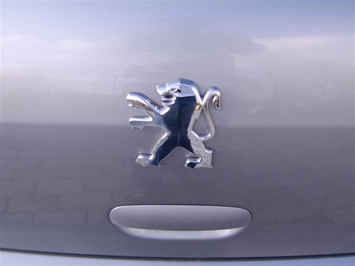 Peugeot 307 Griffe billede 13