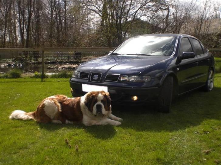 Seat Toledo ...TIL SALG... billede 6