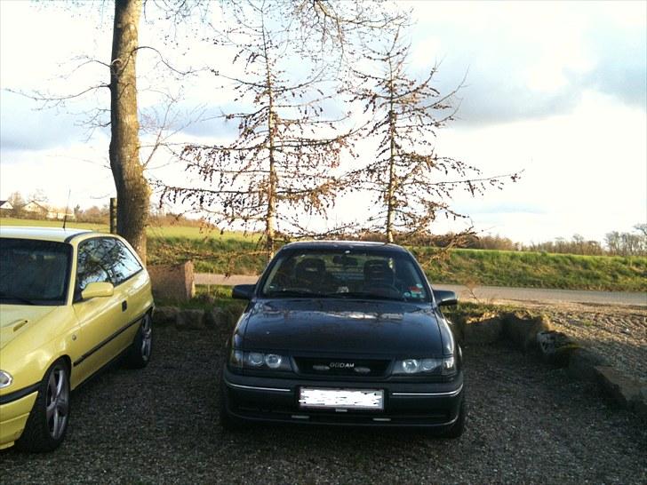 Opel Vectra billede 1