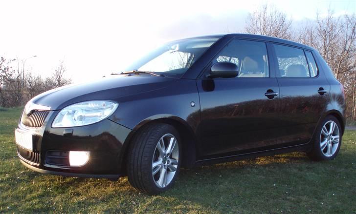 Skoda Fabia II 1,9TDI SOLGT! billede 10