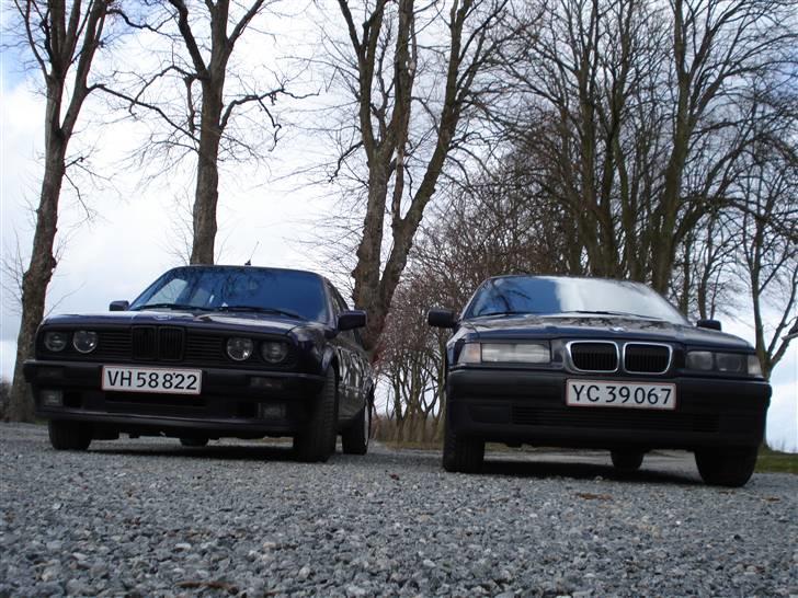 BMW 316 I compact Bavari billede 20