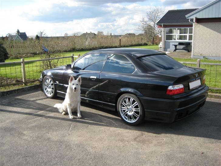 BMW E36 325i Coupé SOLGT - Nu med indfarvet lister og hund :) billede 9