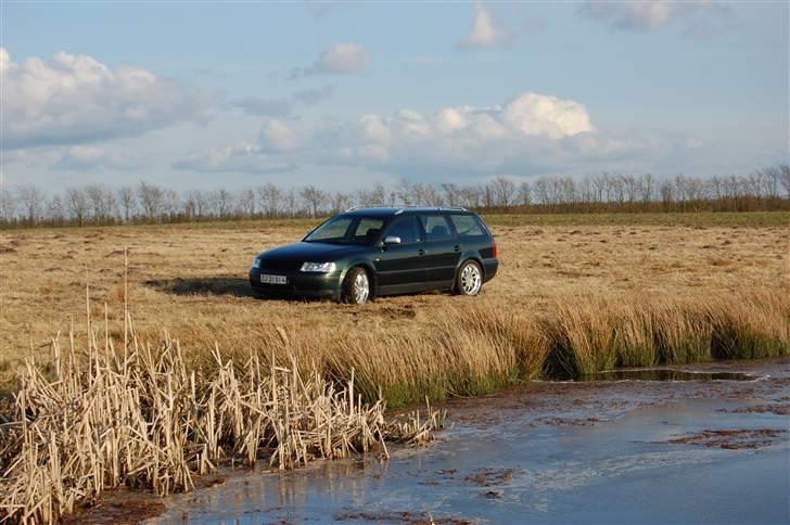 VW Passat 1,8 turbo SOLGT billede 10