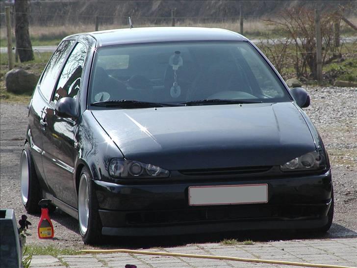 VW Polo 6N #PROJEKT# - Hun er nu lækker. :P billede 1