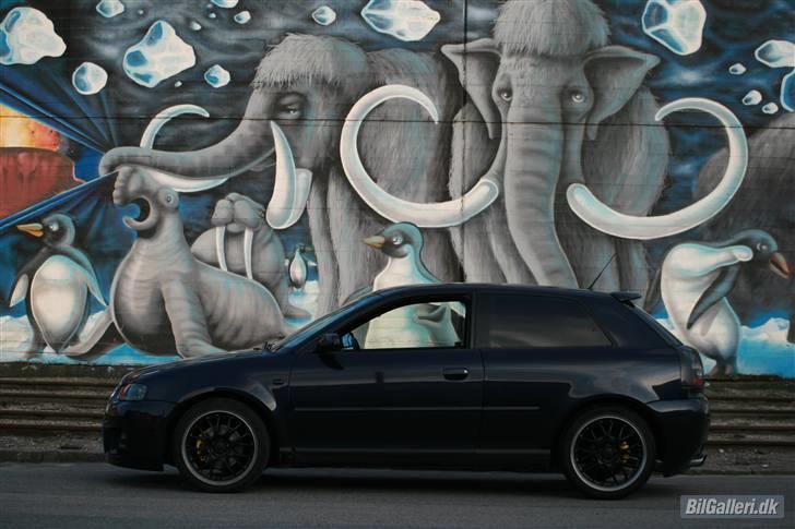 Audi A3 Solgt billede 2