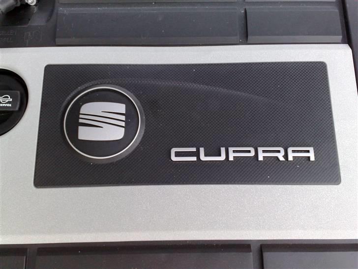 Seat Leon Cupra billede 17