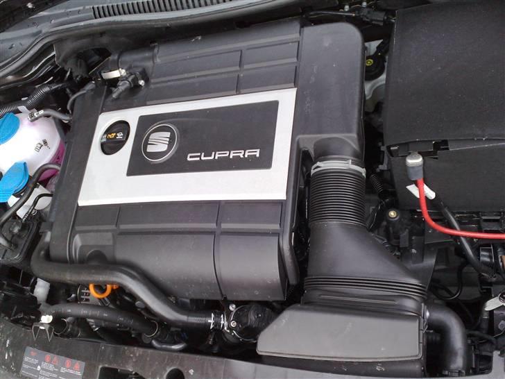 Seat Leon Cupra billede 18