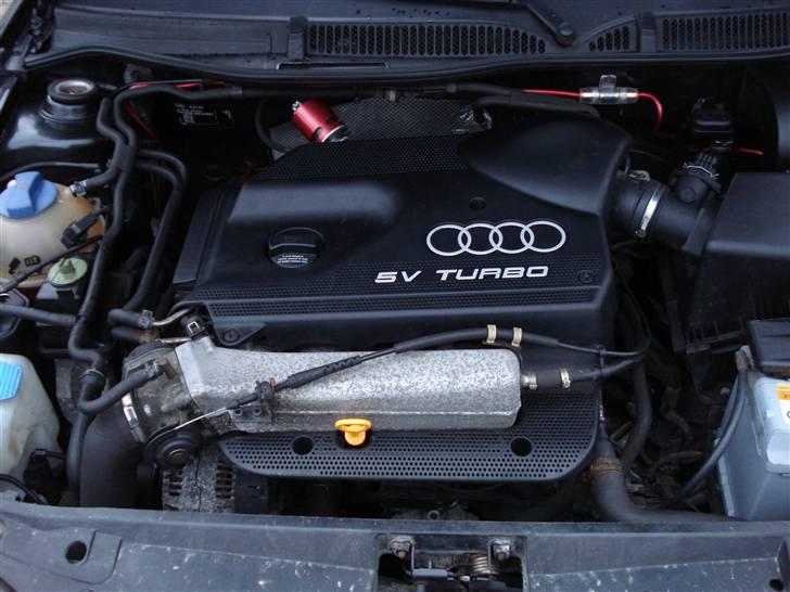 Audi A3 Turbo billede 8
