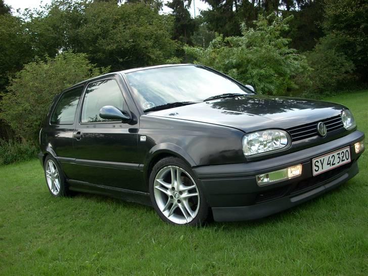 VW            Golf 3 [SOLGT] billede 19