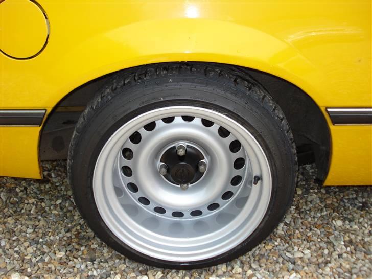 Opel Rekord E1 købt tilbage! billede 8