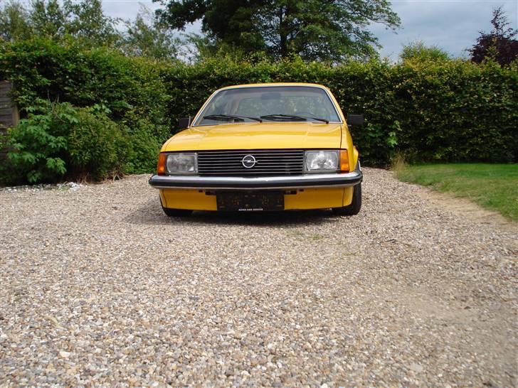 Opel Rekord E1 købt tilbage! billede 13