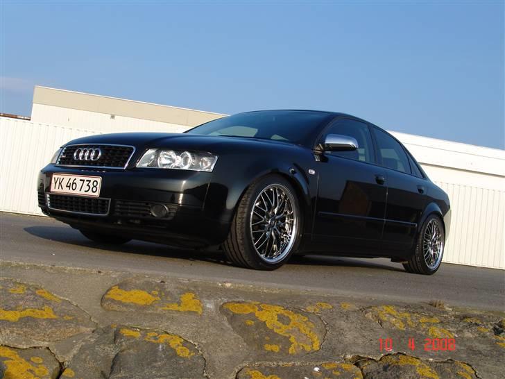 Audi a4 limousine død billede 7