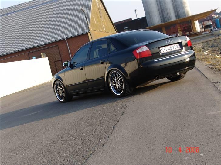 Audi a4 limousine død billede 9