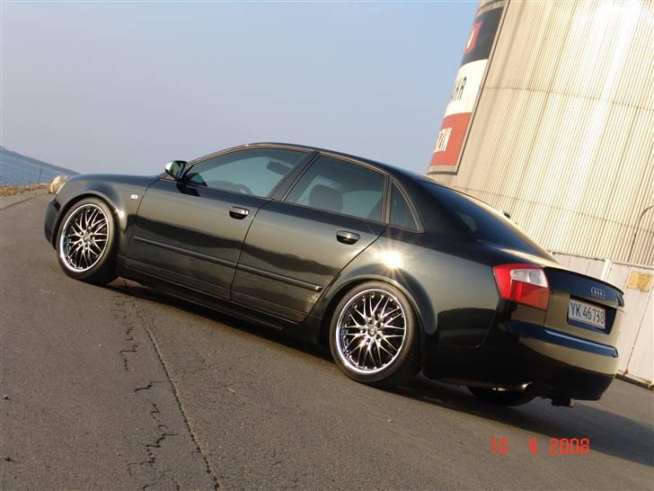 Audi a4 limousine død billede 10