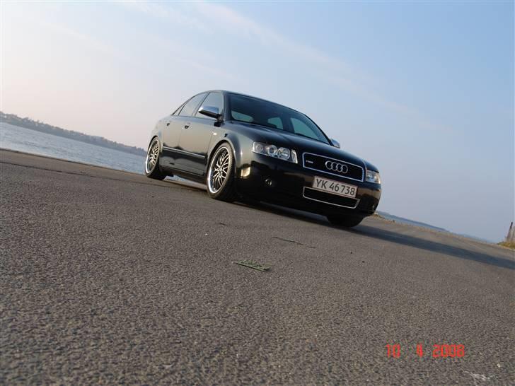 Audi a4 limousine død billede 11