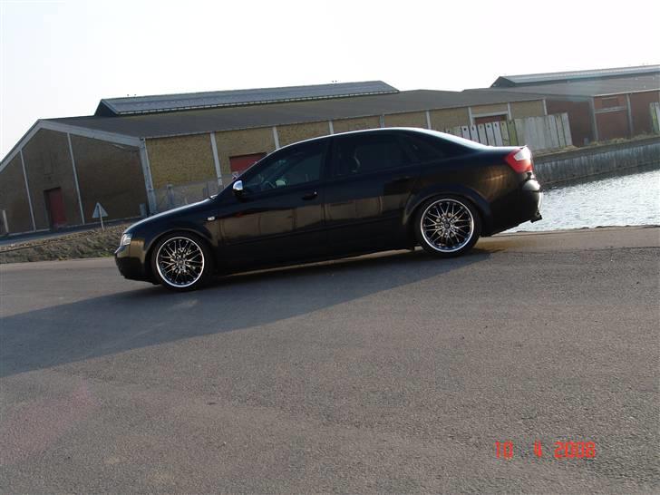 Audi a4 limousine død billede 13
