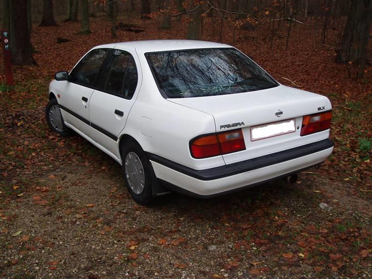 Nissan Primera 1,6 SLX billede 3
