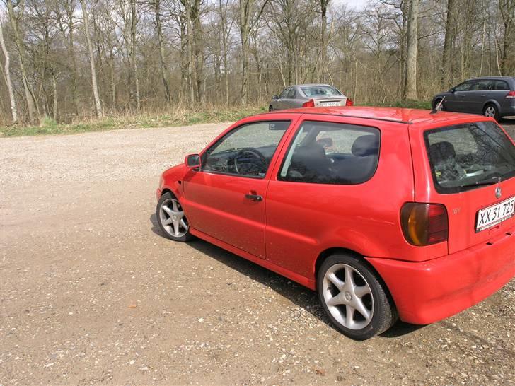 VW Polo 6n  solgt billede 2