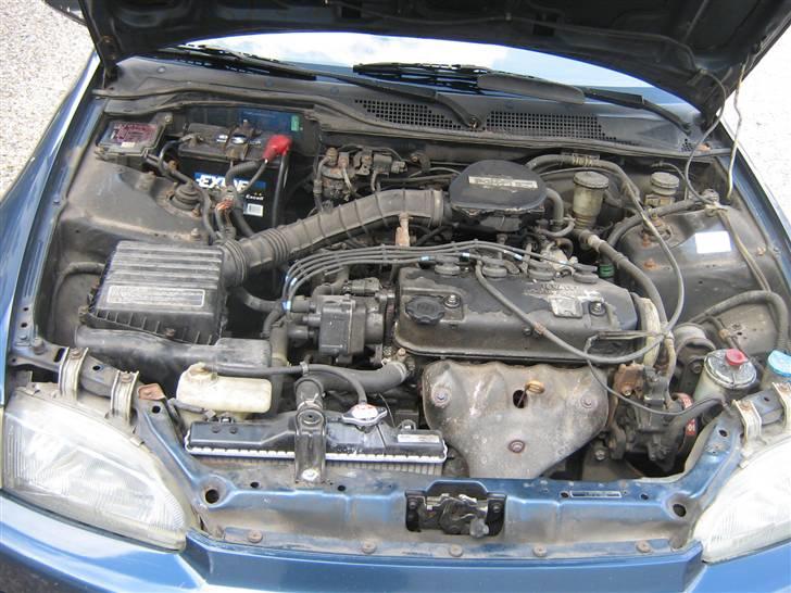 Honda Civic 1,5 (Solgt) - Jo motoren som den ser ud (13. April 08) billede 9