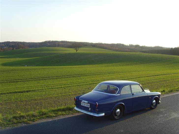 Volvo 122 S Amazon - det smukke fynske landskab, og en endnu smukkere Amazon ;-) billede 14