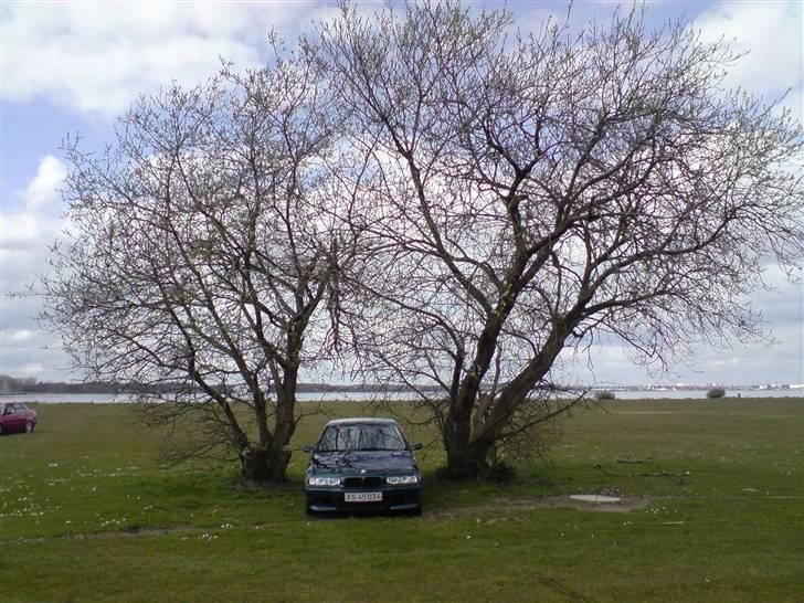 BMW 320i Vanos SOLGT billede 8