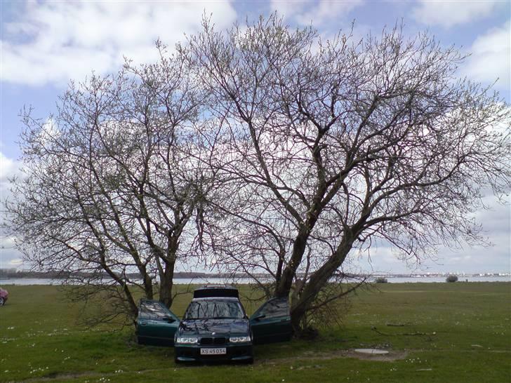 BMW 320i Vanos SOLGT billede 10