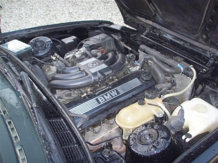 BMW 325I *Byttet* billede 12