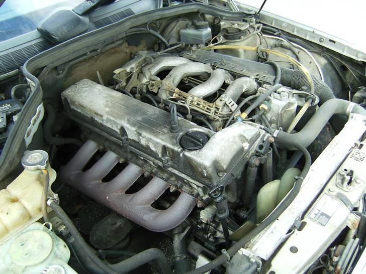 Mercedes Benz 190 D 2,5 ( solgt ) - 5 stk. med en ½ liter pr. stk. billede 12