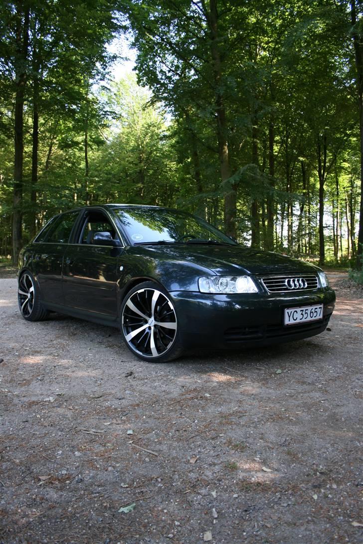 Audi A3 SOLGT billede 11