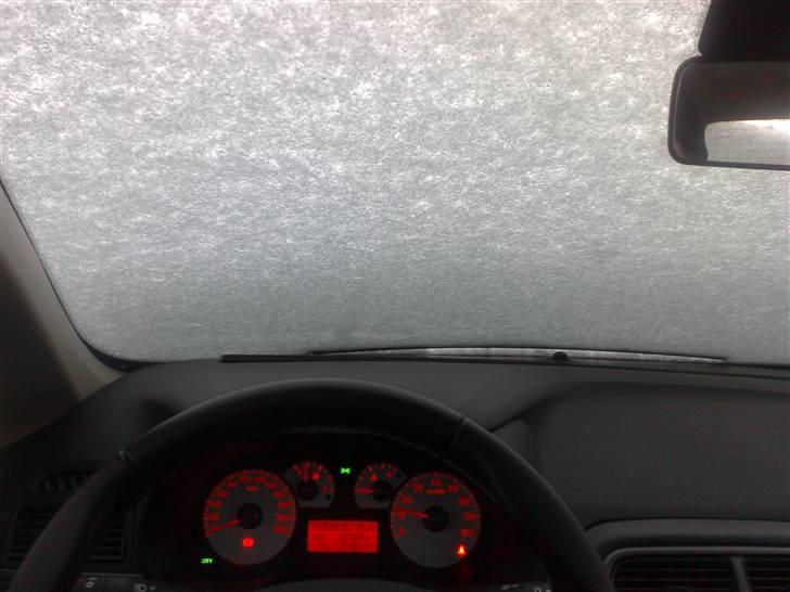 Fiat Grande Punto Sport billede 12