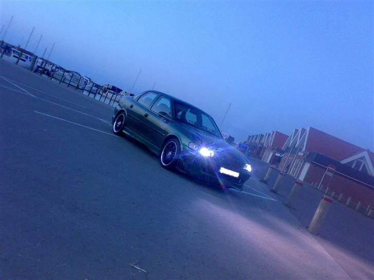 Opel Vectra b  skrottet - det bare dajlig og køer med billede 4