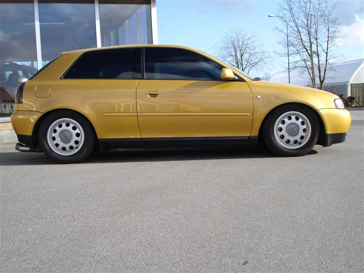 Audi A3 Solgt :'-( - Undervognen monteret og skruet helt ned med vinterhjulene billede 14