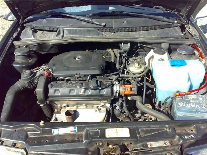 Seat Cordoba  billede 16