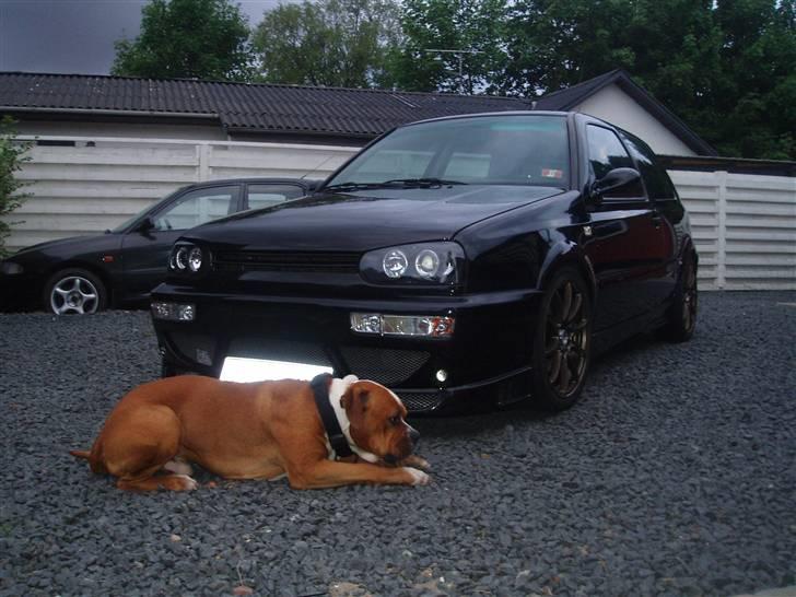 VW golf 3 gti *SOLGT* - Det færdige resultat billede 2