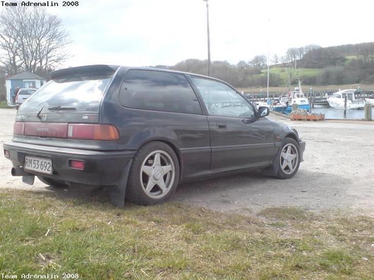 Honda Civic billede 3