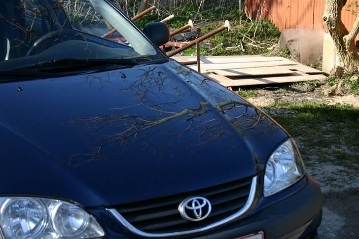 Toyota Avensis - Skal der scoop eller ikke scoop??? billede 4