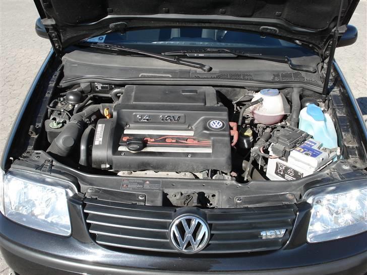 VW Polo 6n2 Openair billede 14