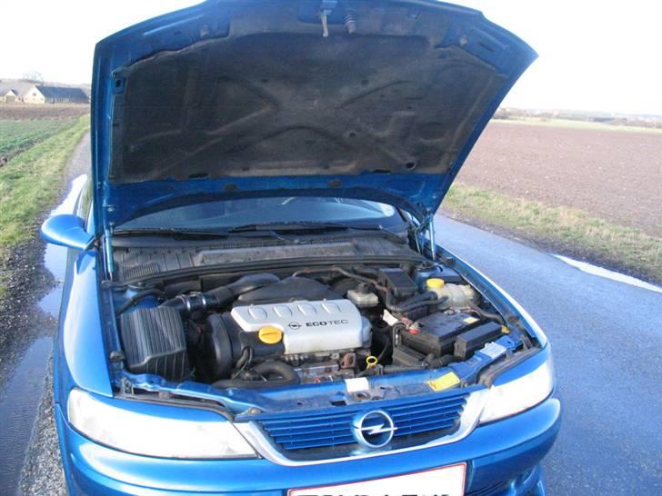 Opel Vectra B St.Car billede 2