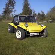 VW Buggy