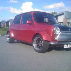 Mini mayfair *Total Skadet*