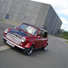 Mini mayfair *Total Skadet*