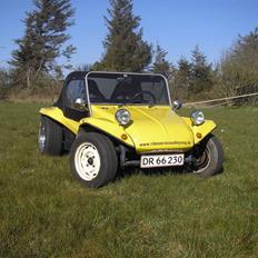 VW Buggy