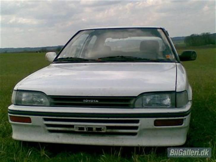 Toyota Corolla (Markræs) - jeg havde lige fået den der billede 2