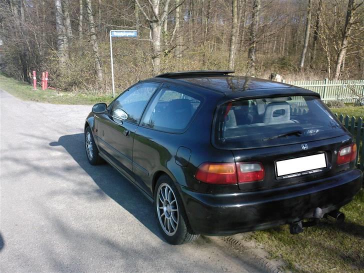 Honda Civic (SOLGT) billede 12