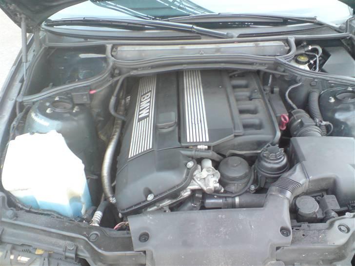 BMW 320i E46  Solgt - Der Kraftwerk billede 10