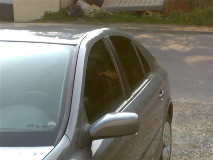 Renault Laguna II - Ruderne blev tonet. billede 15